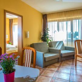 Duna Hotel, hotel in Paks
