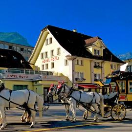 Hotel Höfli, hotel v destinácii Altdorf