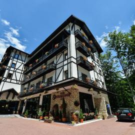 Hotel Posada Vidraru, Hotel in Căpăţîneni-Ungureni