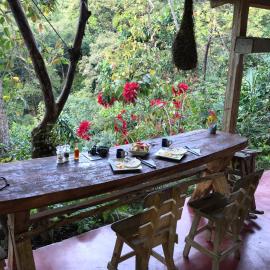 Finca San Rafael - Cafe y Cacao, hotel em Minca