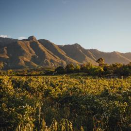 Wildebraam Berry Estate, hotel a Swellendam