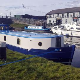 Roisin Dubh Houseboat, viešbutis mieste Sallins