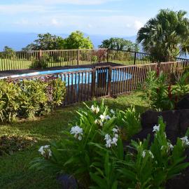 L'îlot Fruits Guadeloupe, hotel em Trois-Rivières