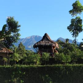 Satu Lingkung, hotelli kohteessa Tetebatu