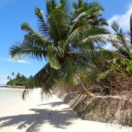 HCS Bungalows Turtle Bay Rustic Bungalow, hotel sa Au Cap