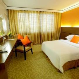 The Royal Mandaya Hotel, hotel di Davao City