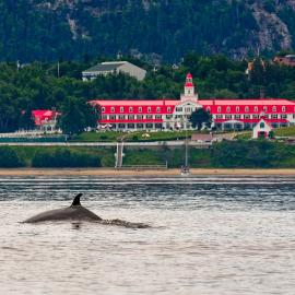 Hotel Tadoussac, khách sạn ở Tadoussac