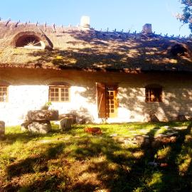Paali cottages, hotel a Tornimäe
