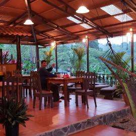 Cabinas Pura Vida B&B and Tour Operator, hotel en Drake