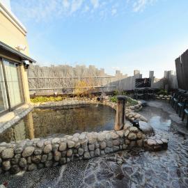 天然温泉 甲斐路の湯 ドーミーイン甲府, hotel a Kōfu