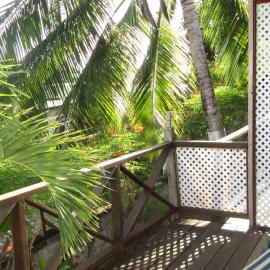 Dolphin Inn Guesthouse & Apartments, hotell i Christ Church