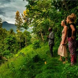 Banana Farm Eco Hostel, khách sạn ở Arusha