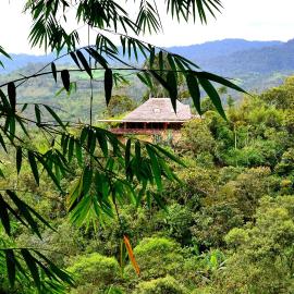 Terrabambu Lodge, khách sạn ở Mindo