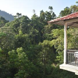 White Villa Kitulgala โรงแรมในคิตุลกาลา