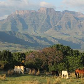 Champagne Valley में, होटल Ardmore Guest Farm