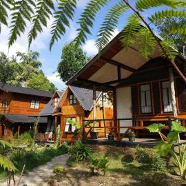Canyon Jungle Stay, hotel em Bukittinggi