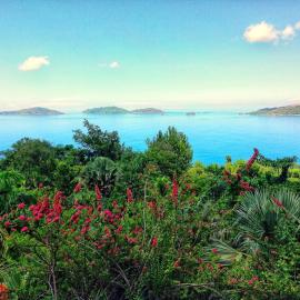 Secret Villa, Hotel in La Digue