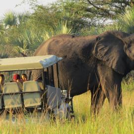 Tembe Elephant Park Lodge, hotell i Sihangwane