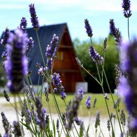 Cabañas Nevis, excelente ubicación, hotel sa El Calafate