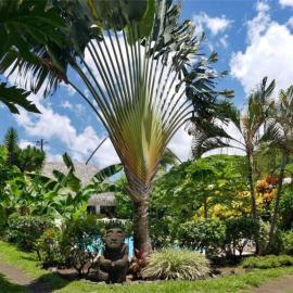 Pension De La Plage, hotel en Punaauia