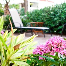DeSoto Beach Gardens, hotell sihtkohas Tybee Island