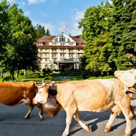 Le Grand Bellevue, khách sạn ở Gstaad
