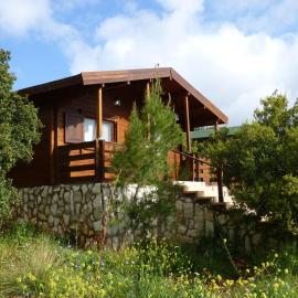 Mountain Breeze Lodge & Resort，薩勒特的飯店