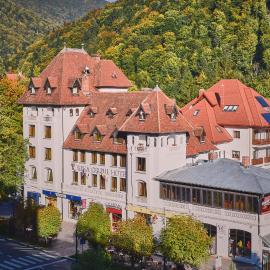 Hotel Rina Cerbul, viešbutis mieste Sinaja