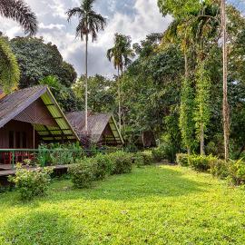 Khao Sok Riverside Cottages，考索的飯店