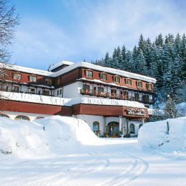 Alpenhotel Weitlanbrunn, hotel v Sillianu