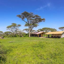 Serengeti Savannah Camps, hotell i Soronera