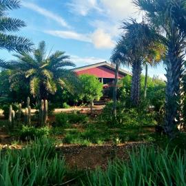 Red Palm Village, hotel sa Kralendijk
