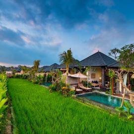 Bliss Ubud Spa Resort, hotel din Ubud