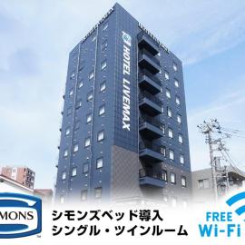HOTEL LiVEMAX Minamihashimoto Ekimae, hotel in Sagamihara
