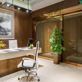 Crowne Plaza Xiangyang by IHG, hotel v Siang-jangu