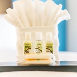 Holiday Inn & Suites Chattanooga Downtown by IHG