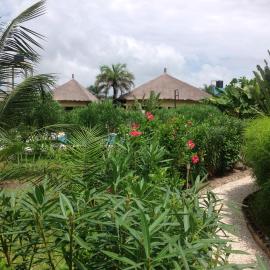 PACOTOUTY LODGE، فندق في كاب سكيرينج
