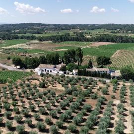 VILASIRA ( Rooms & Wines ), hotel a Los Cojos