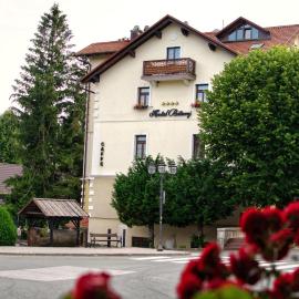 Hotel Bitoraj Fužine, hotel in Fužine