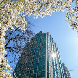 Rosedale on Robson Suite Hotel，位于温哥华的酒店