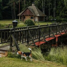 Log Cabin, хотел в Кулдига