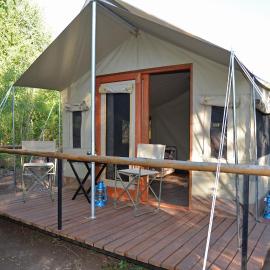 The Wild Olive Tree Camp, hotell i Manyeleti viltreservat