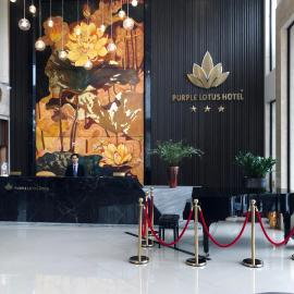 Purple Lotus Hotel、ハイズオンのホテル