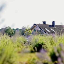 Lavender Village, хотел в Kiemeliai