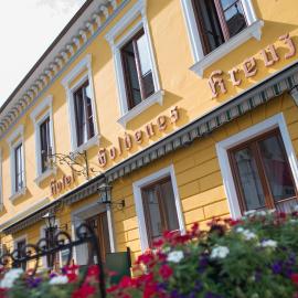 Hotel-Garni Goldenes Kreuz, khách sạn ở Grein