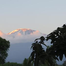 Kilimanjaro White House Hotel, hotel Moshiban
