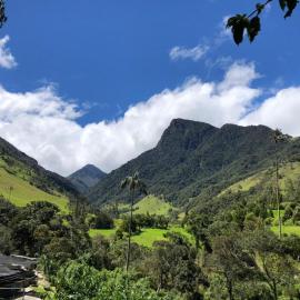 Cabañas Valle del Cocora La Truchera – hotel w mieście Salento