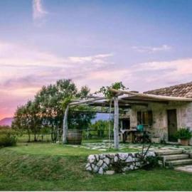 Vineyard Eco Cottage near Dubrovnik, hotel in Gruda