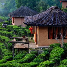 Lee Wine Ruk Thai Resort, hotel en Ban Rak Thai