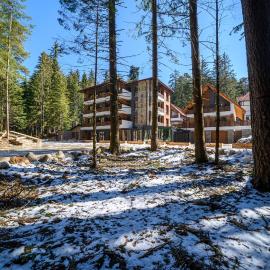 103 Alpine Hotel, hotel Panicsistében